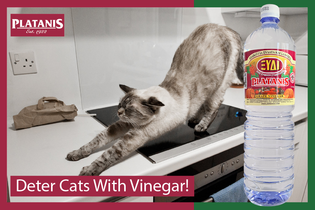 Deter cats from jumping on counters with Platanis white vinegar.